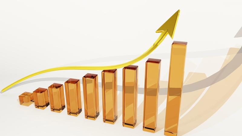 EXPONENTIAL ORGANIZATIONS (3)
