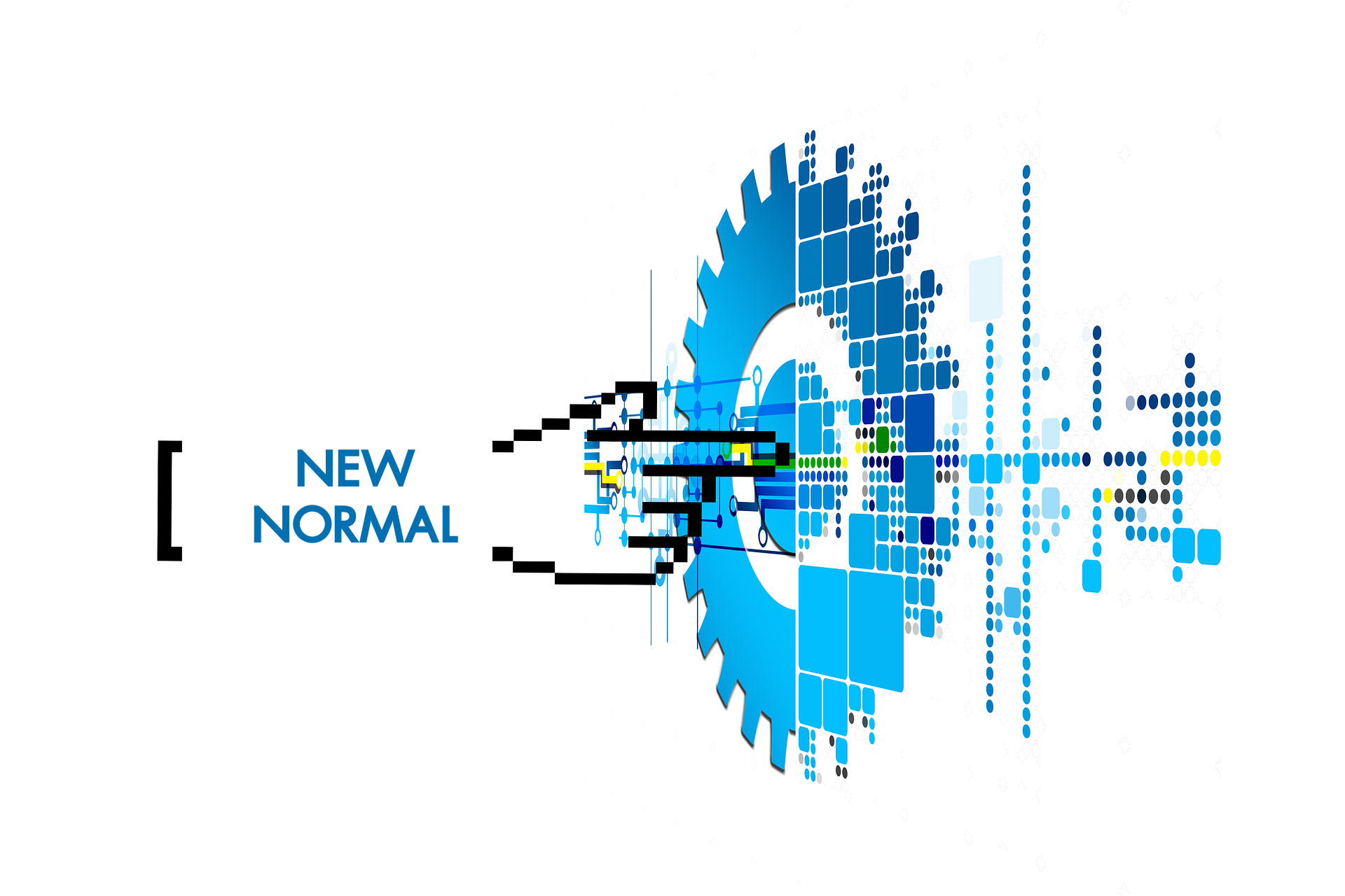 THE NEW NORMAL