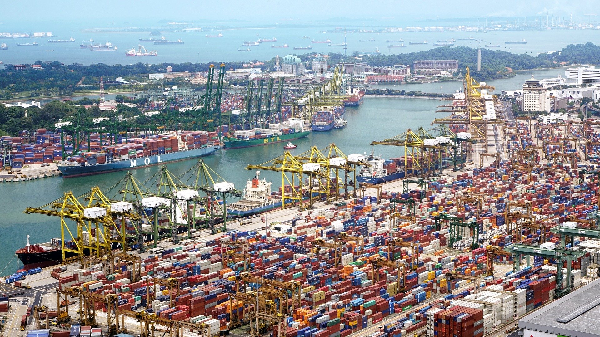 THE SUPPLY CHAIN 