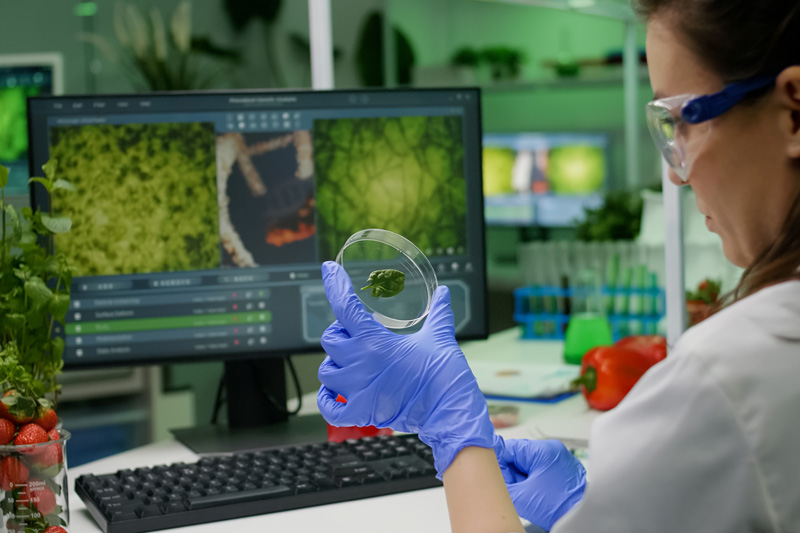 FoodTech กับความมั่นคงในการจัดการห่วงโซ่อาหาร (1)