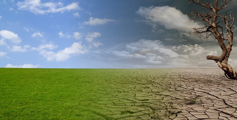 CLIMATE CHANGE 