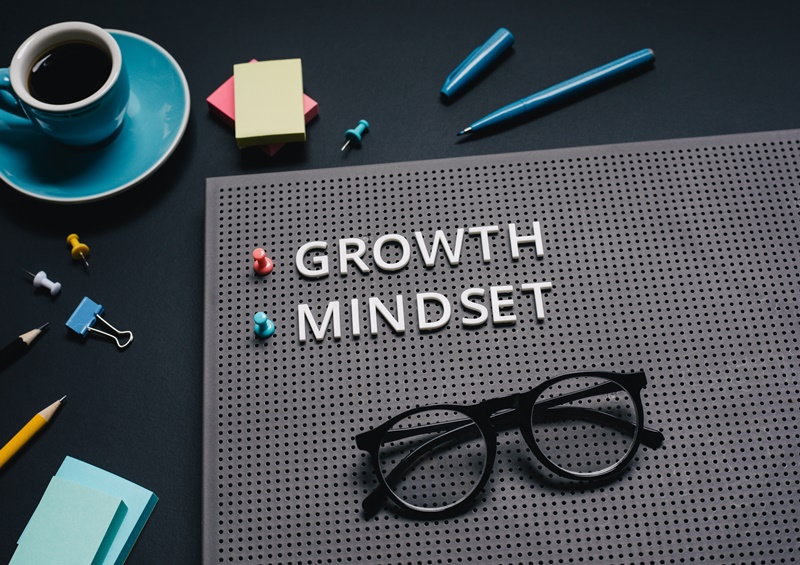 MINDSET