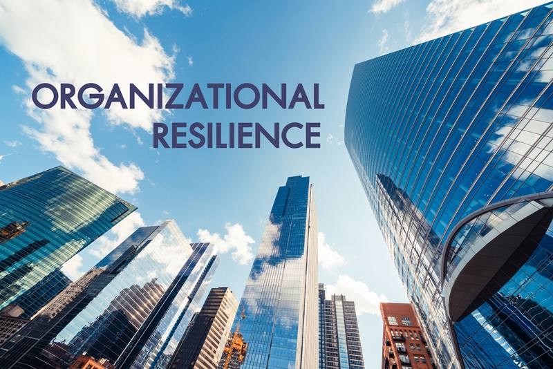 Organizational Resilience