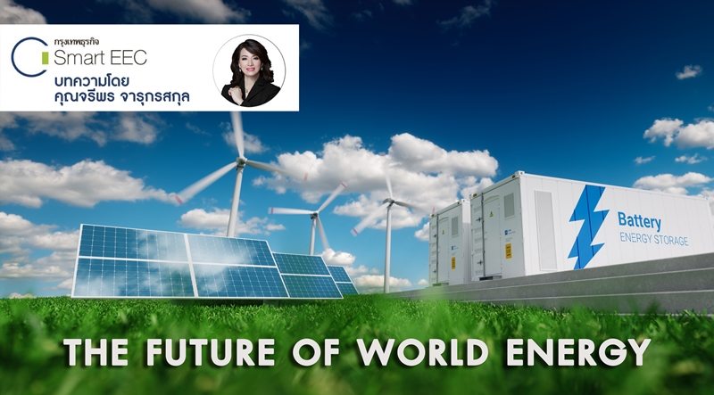 The Future of World Energy