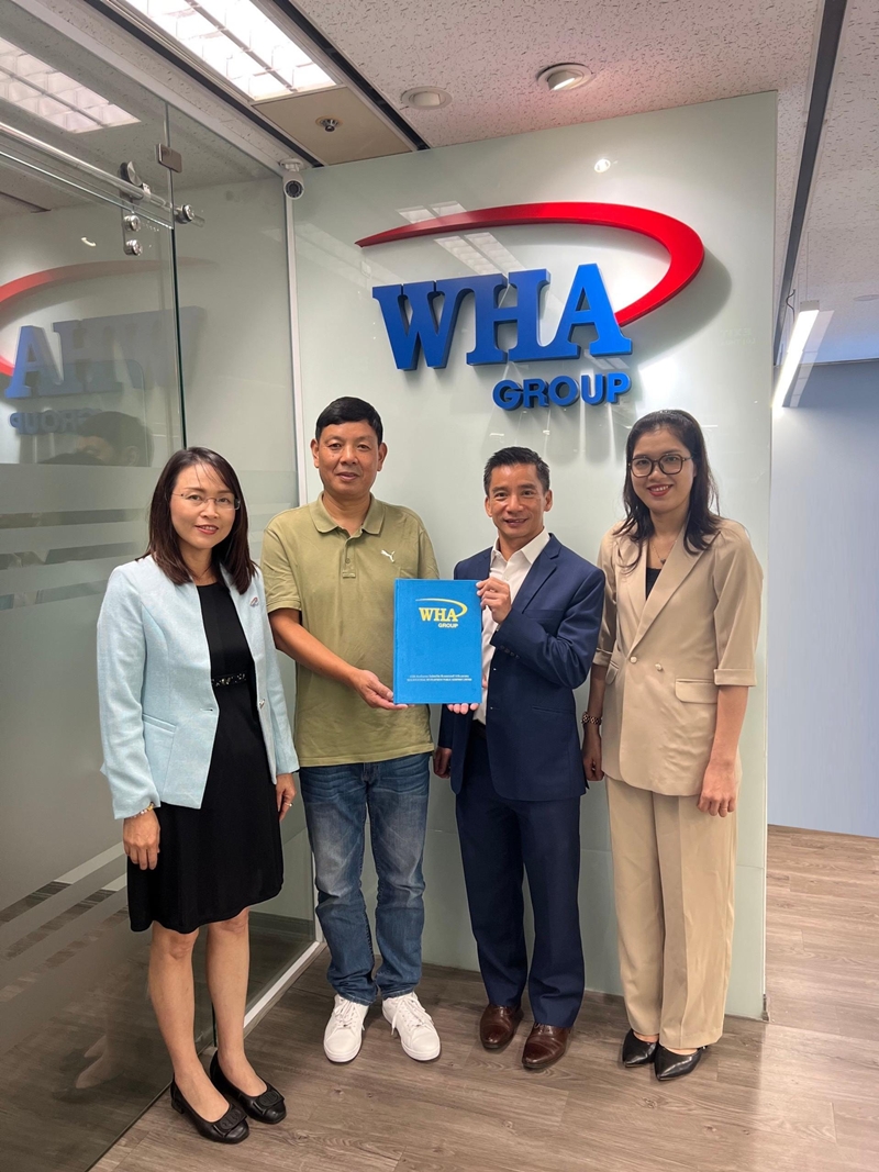 Junhao finalized Land