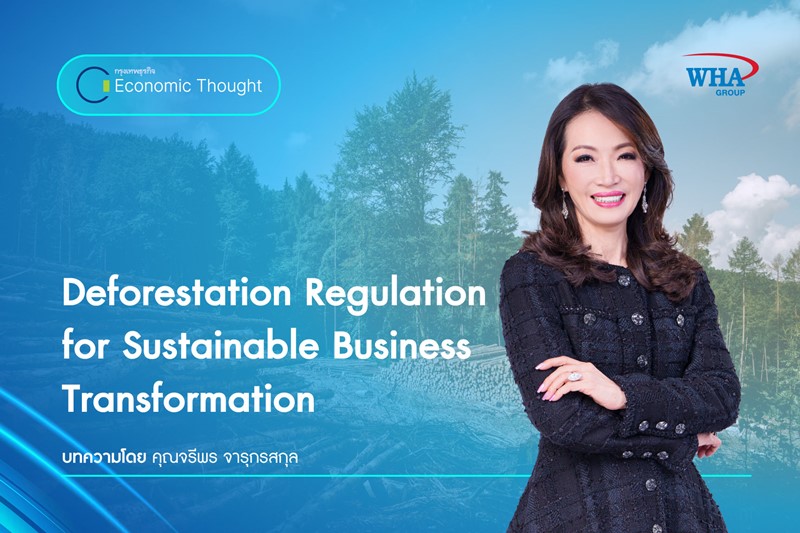 Deforestation Regulation for Sustainable Business Transformation