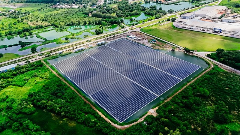 Saha Farm and Golden Line Business